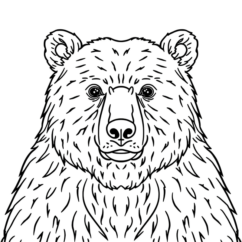 Bear 8 - free printable coloring page