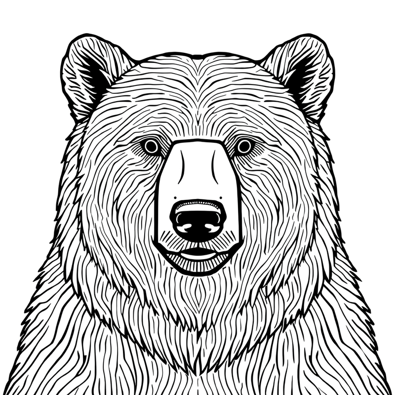 Bear 9 - free printable coloring page